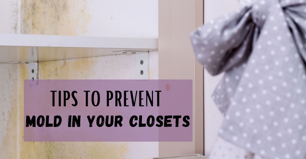 What To Put In Closet To Keep Clothes Smelling Fresh - Best Design Idea